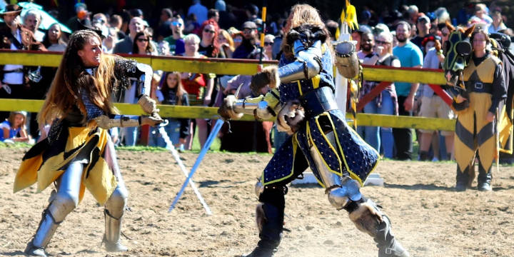 jousting knight image
